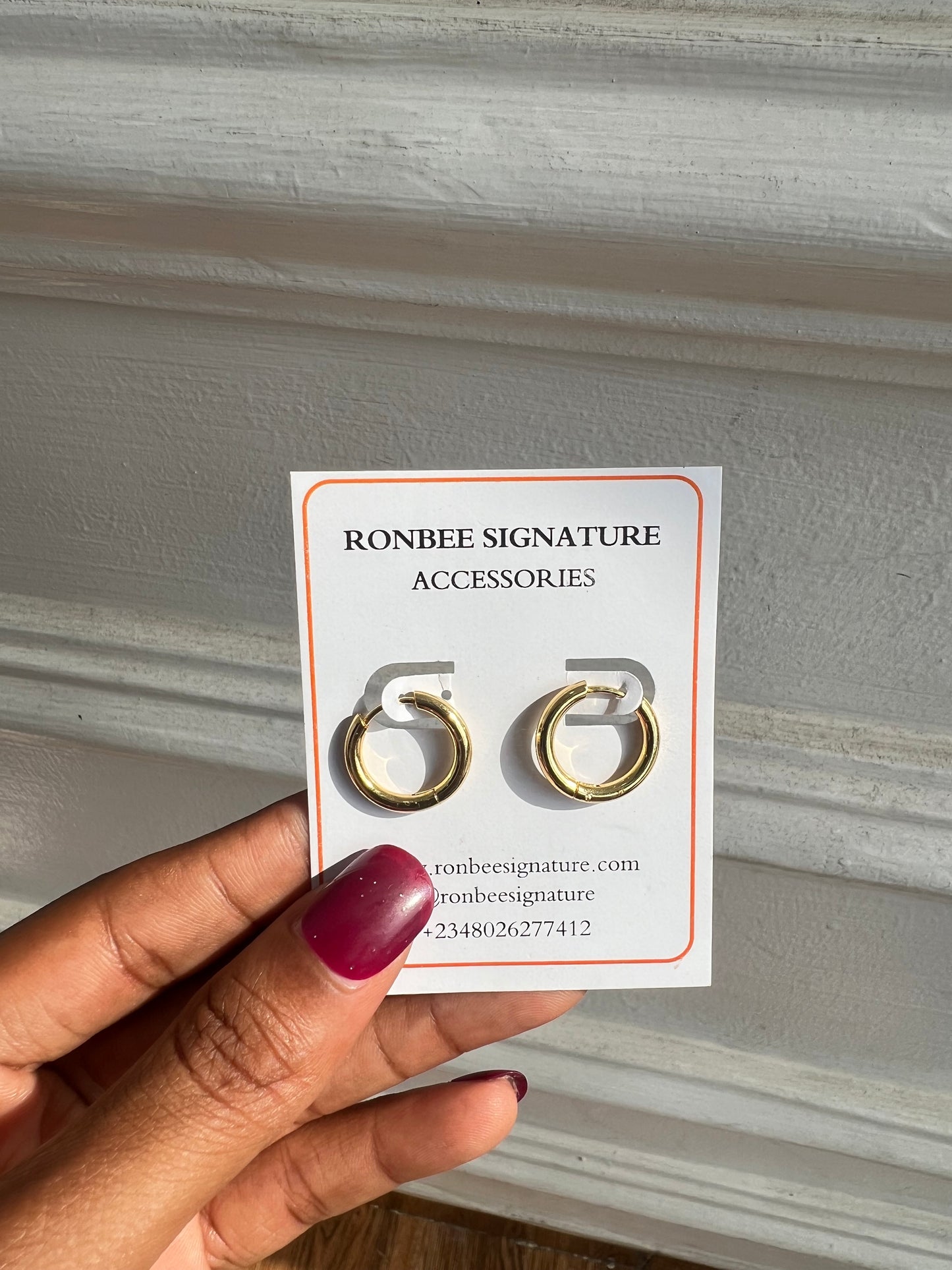 Earrings(Rbs316)