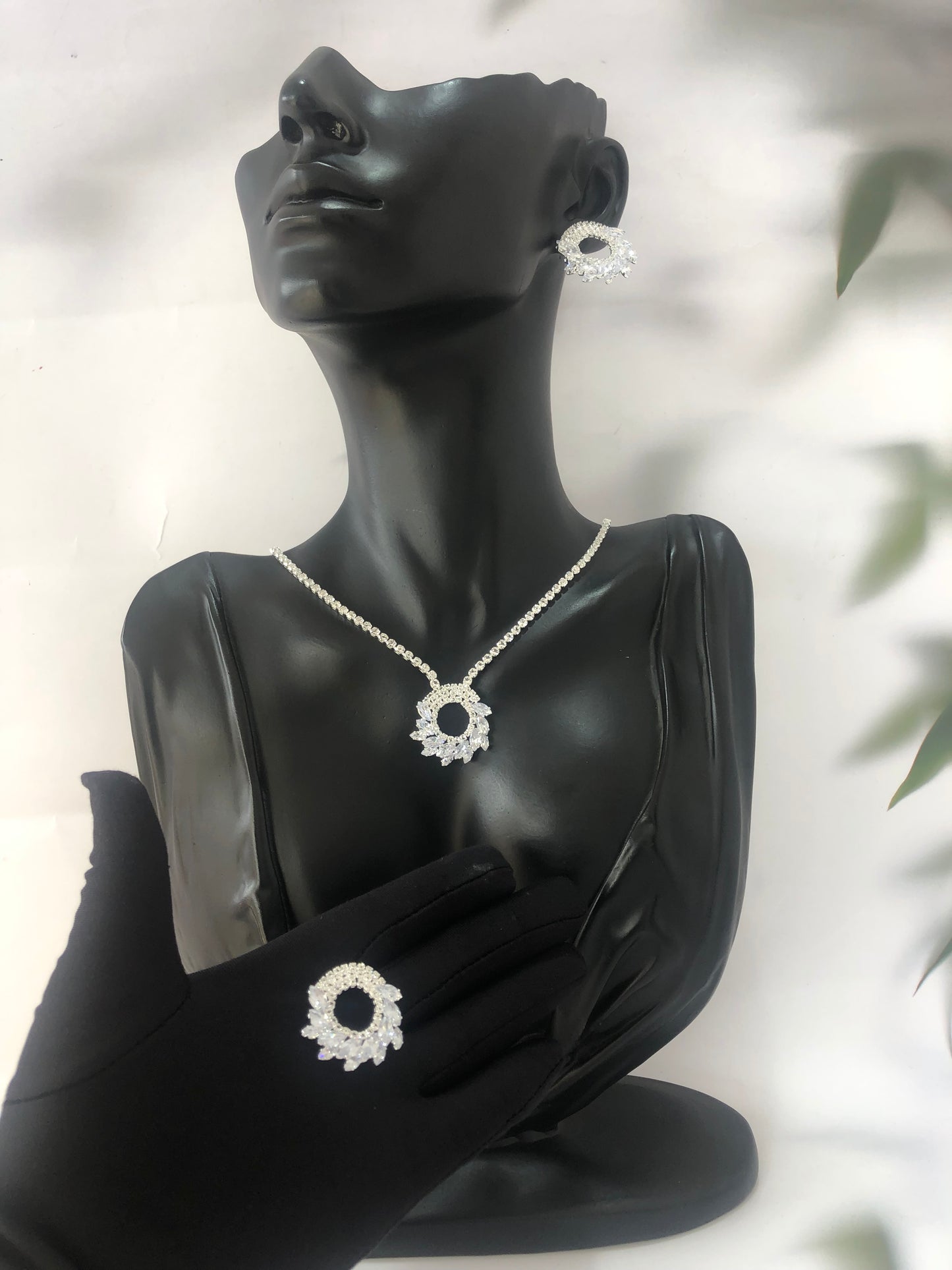 Jewelry set(Rbs766)