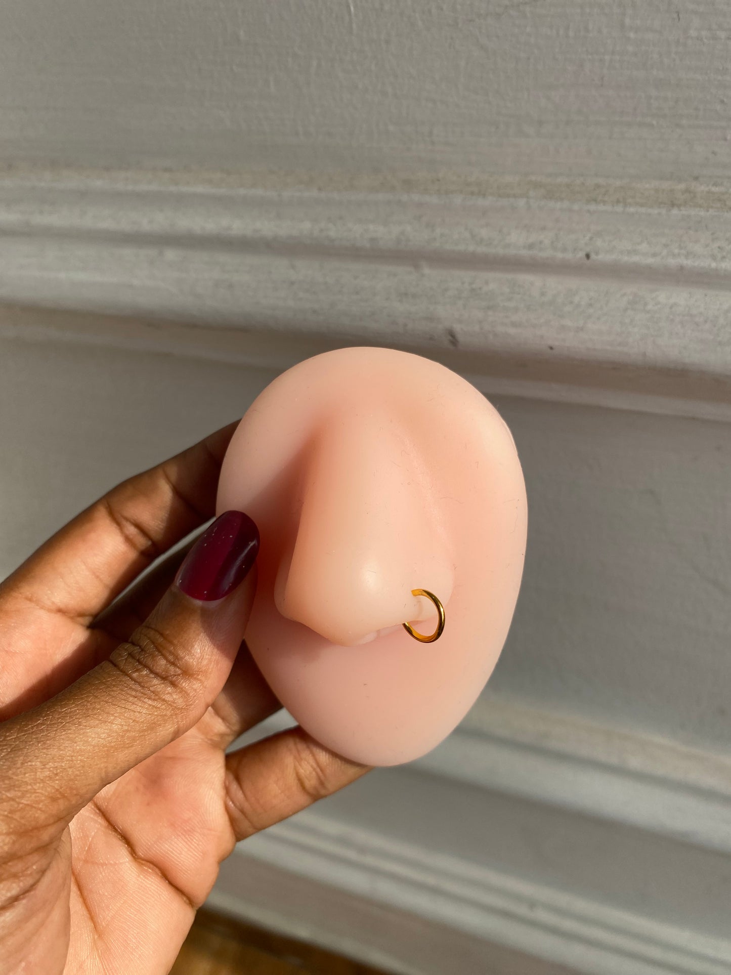 Nose rings (Rbs827)