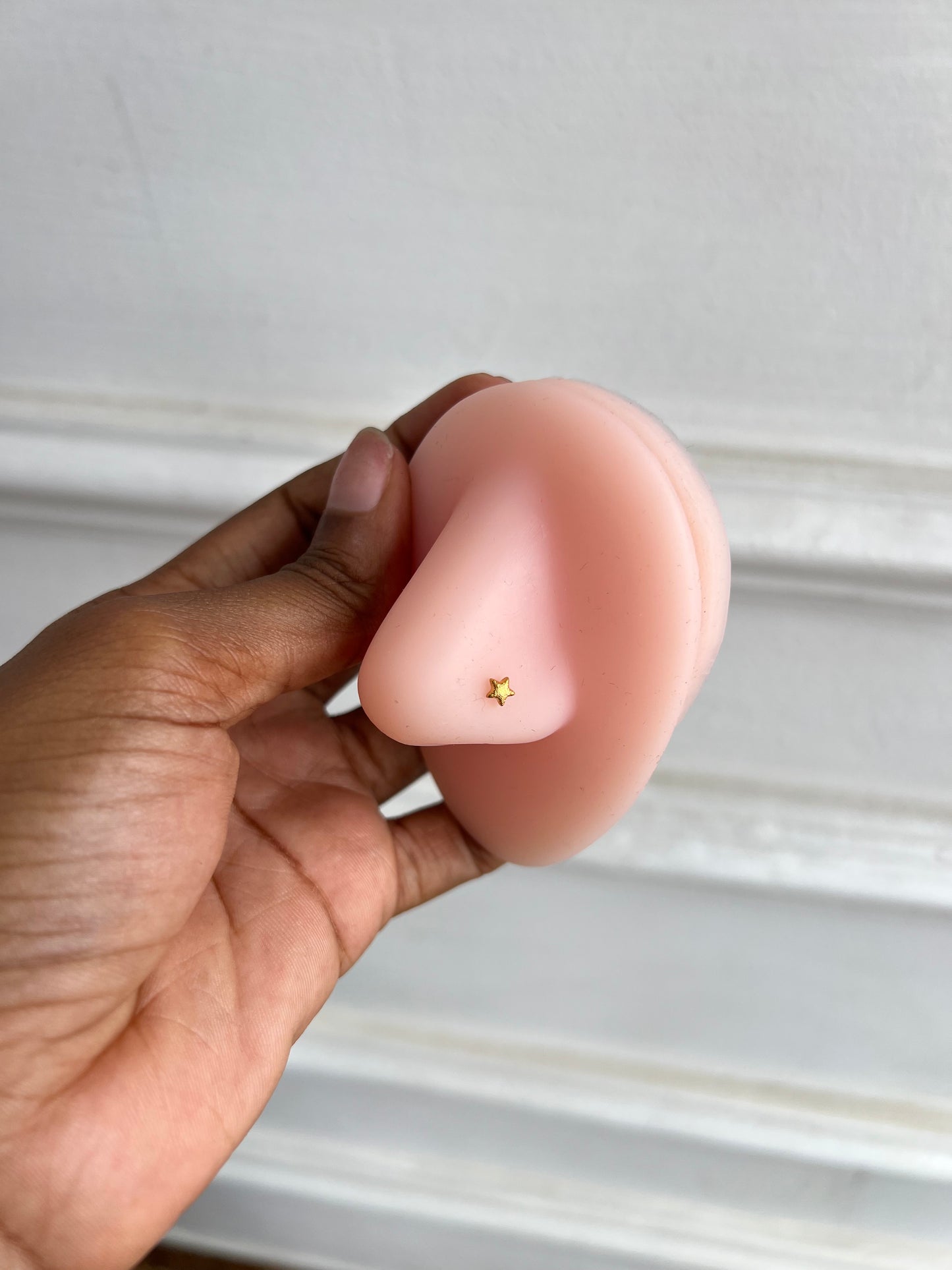 Nose rings (Rbs901)