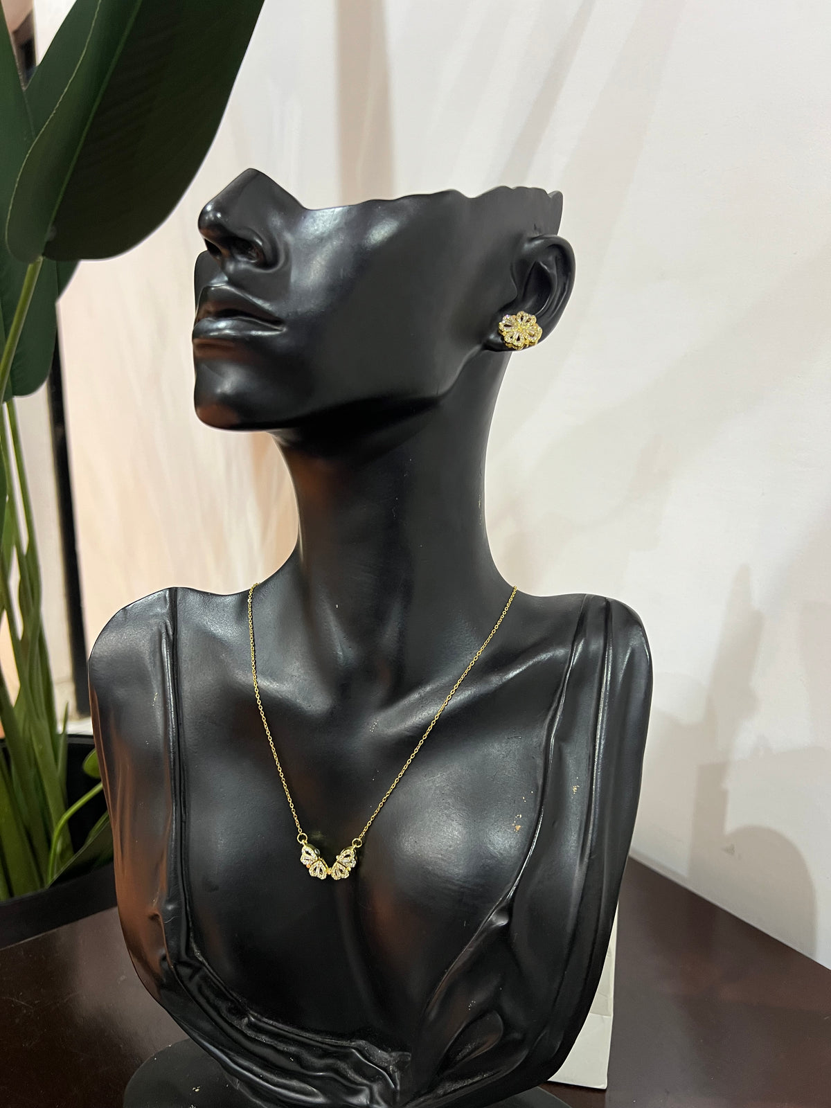 Jewelry set (Rbs1223)