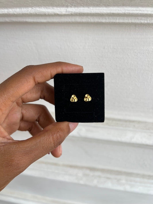 Stud earrings (Rbs889)
