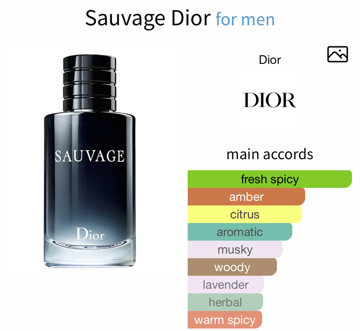 Dior Sauvage [Midnight Terrain]– Perfume Oil
