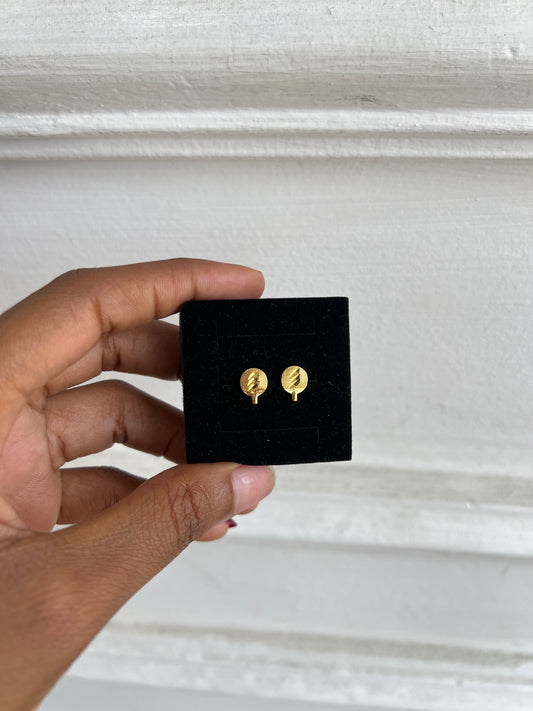 Stud earrings (Rbs883)