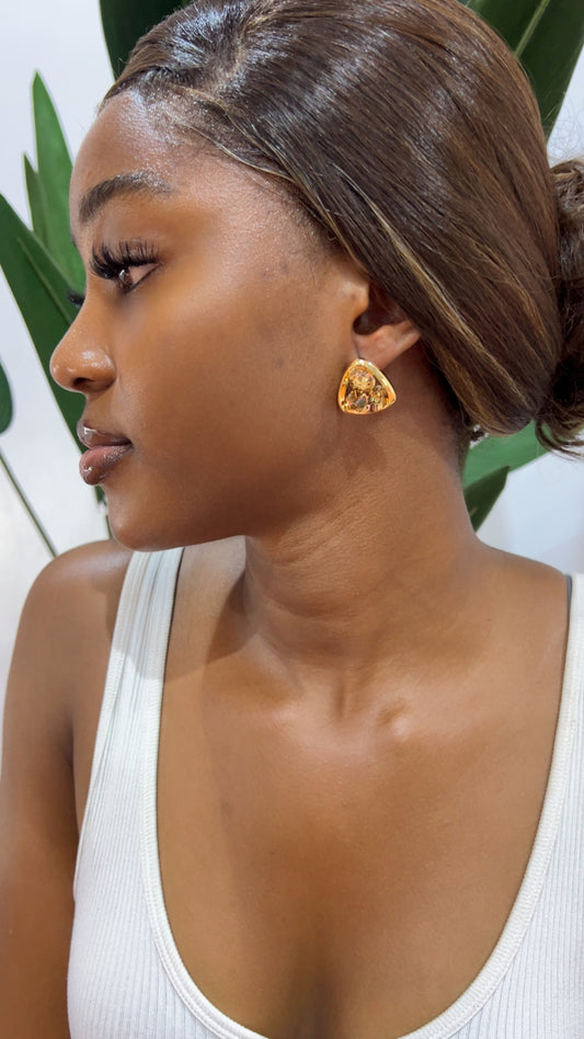 Quinn Statement Earrings (Rbs572)