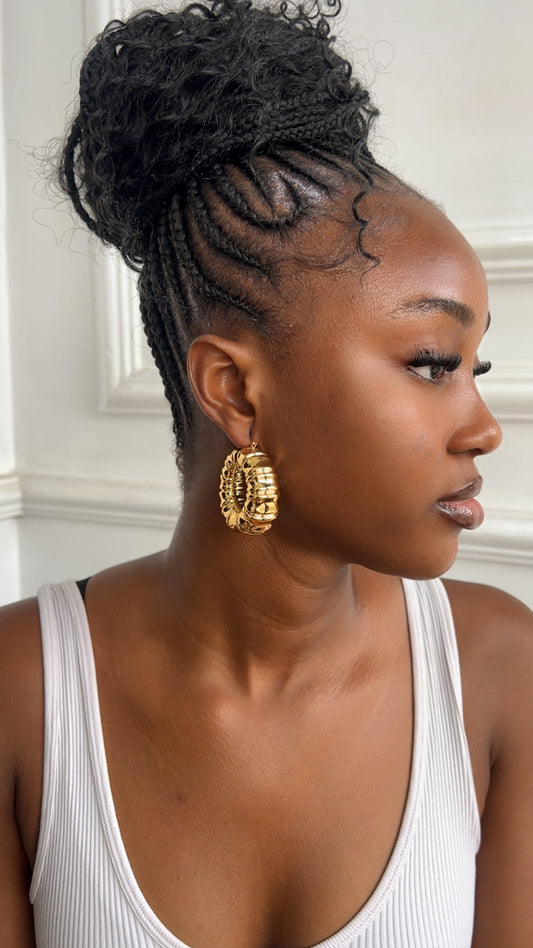 Earrings (Rbs875)