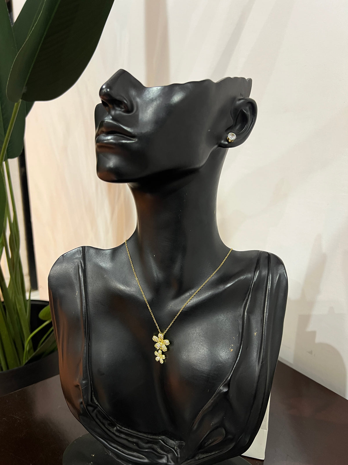 Jewelry set (Rbs1225)