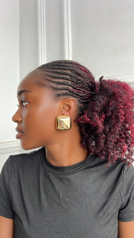Earrings (Rbs272)