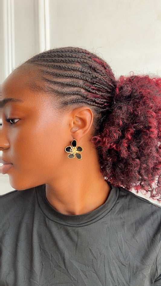 Earrings (Rbs841)