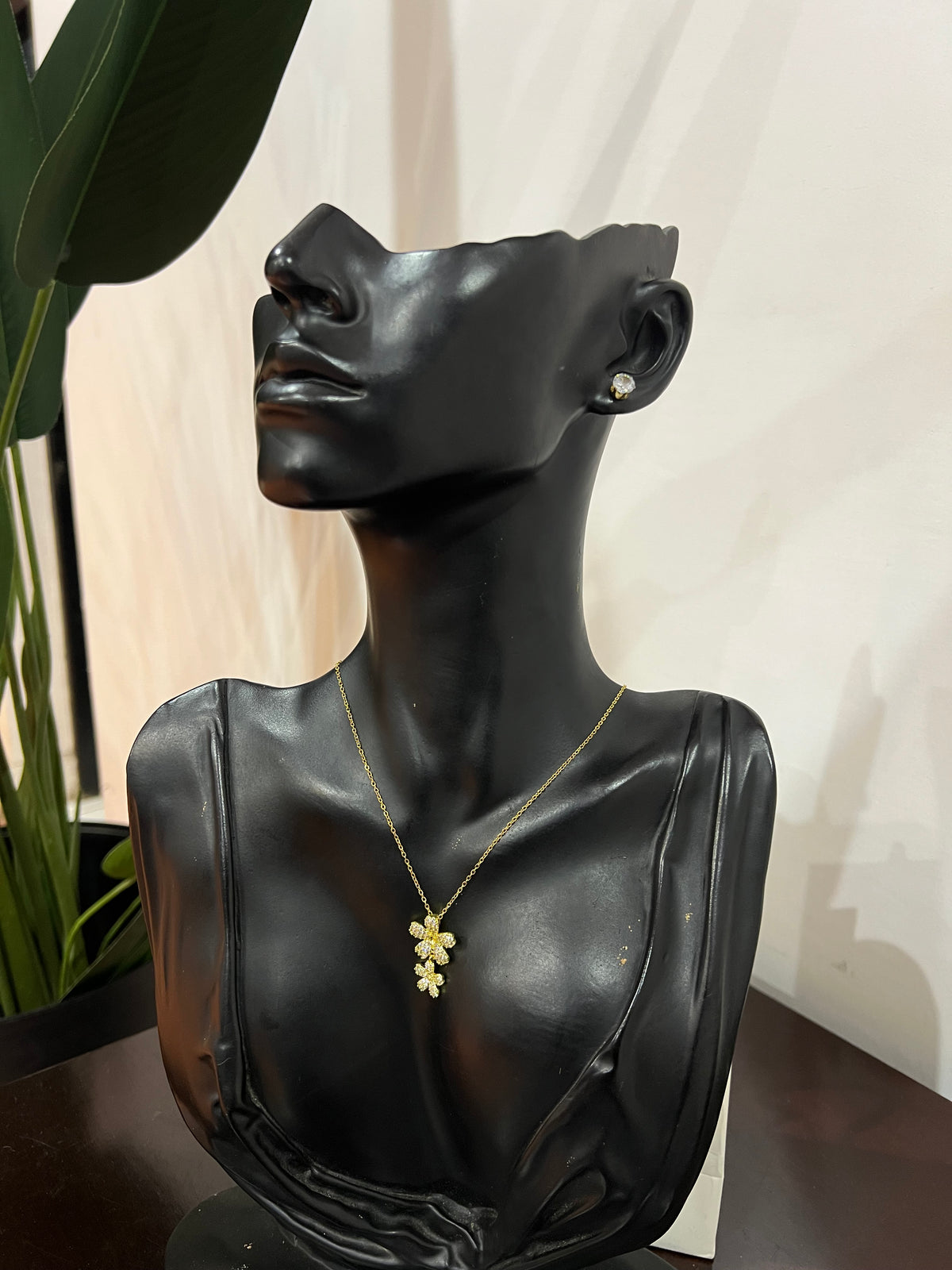 Jewelry set (Rbs1225)