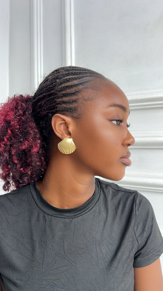 Shell earrings (Rbs284)