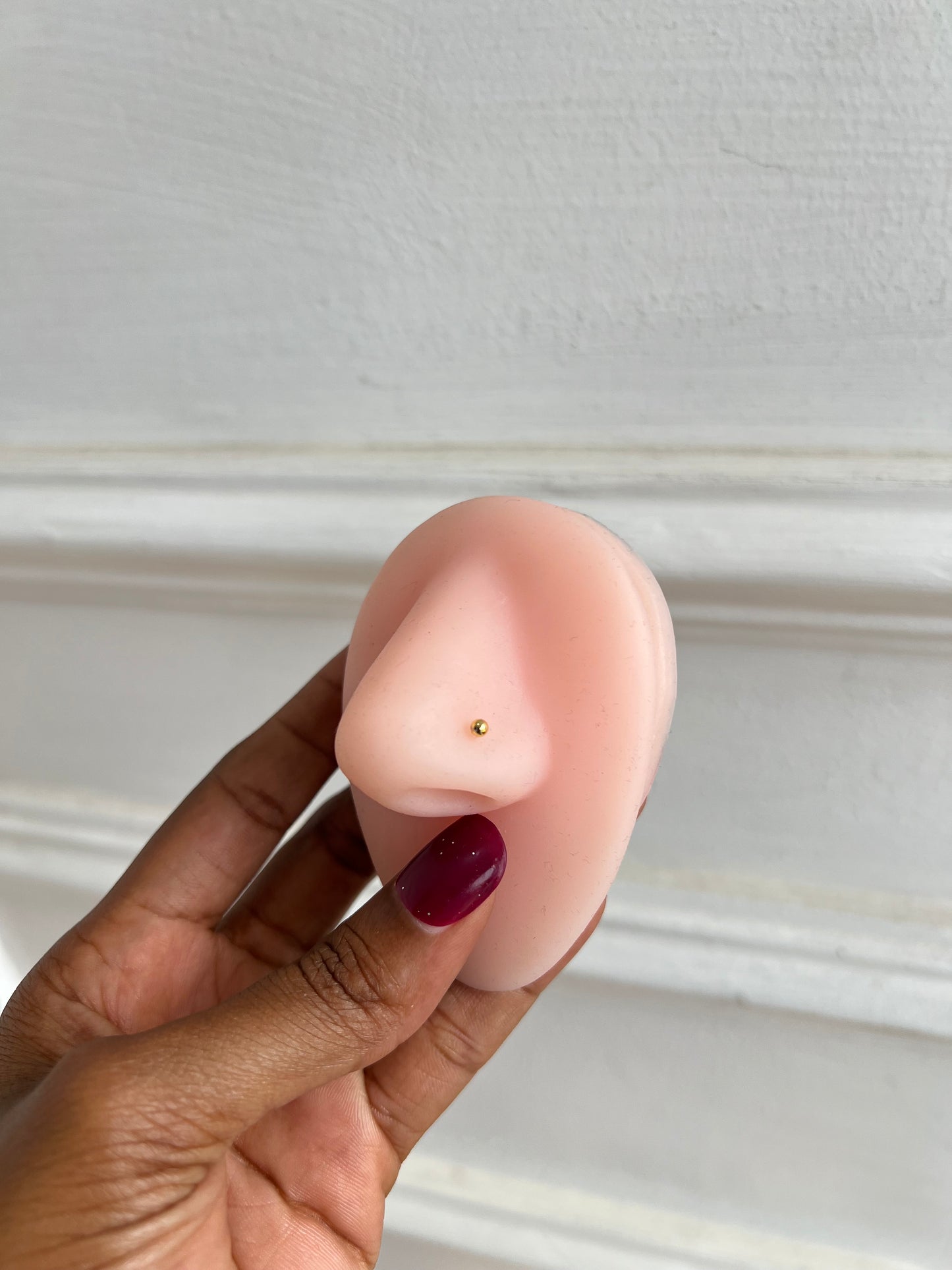 Nose rings(Rbs824)