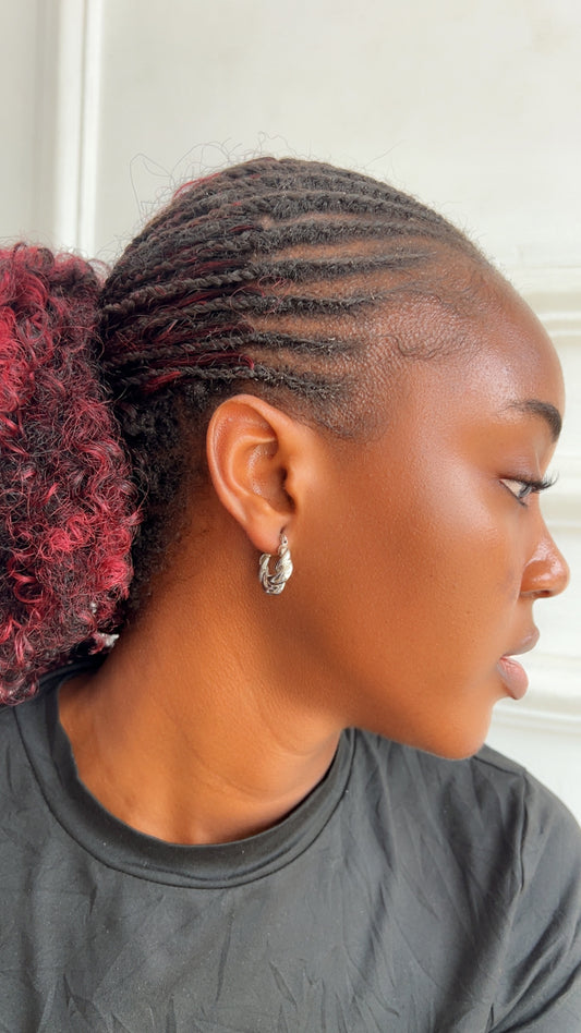 Earrings (Rbs836)