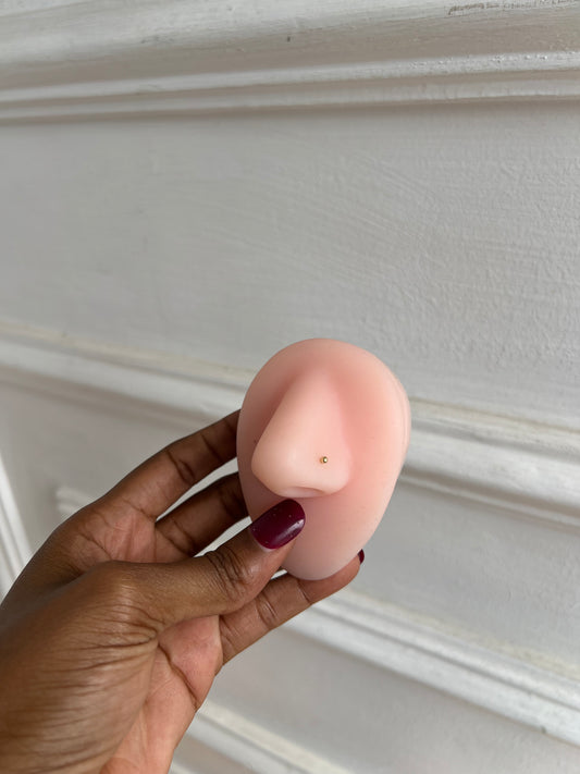 Nose rings (Rbs331)