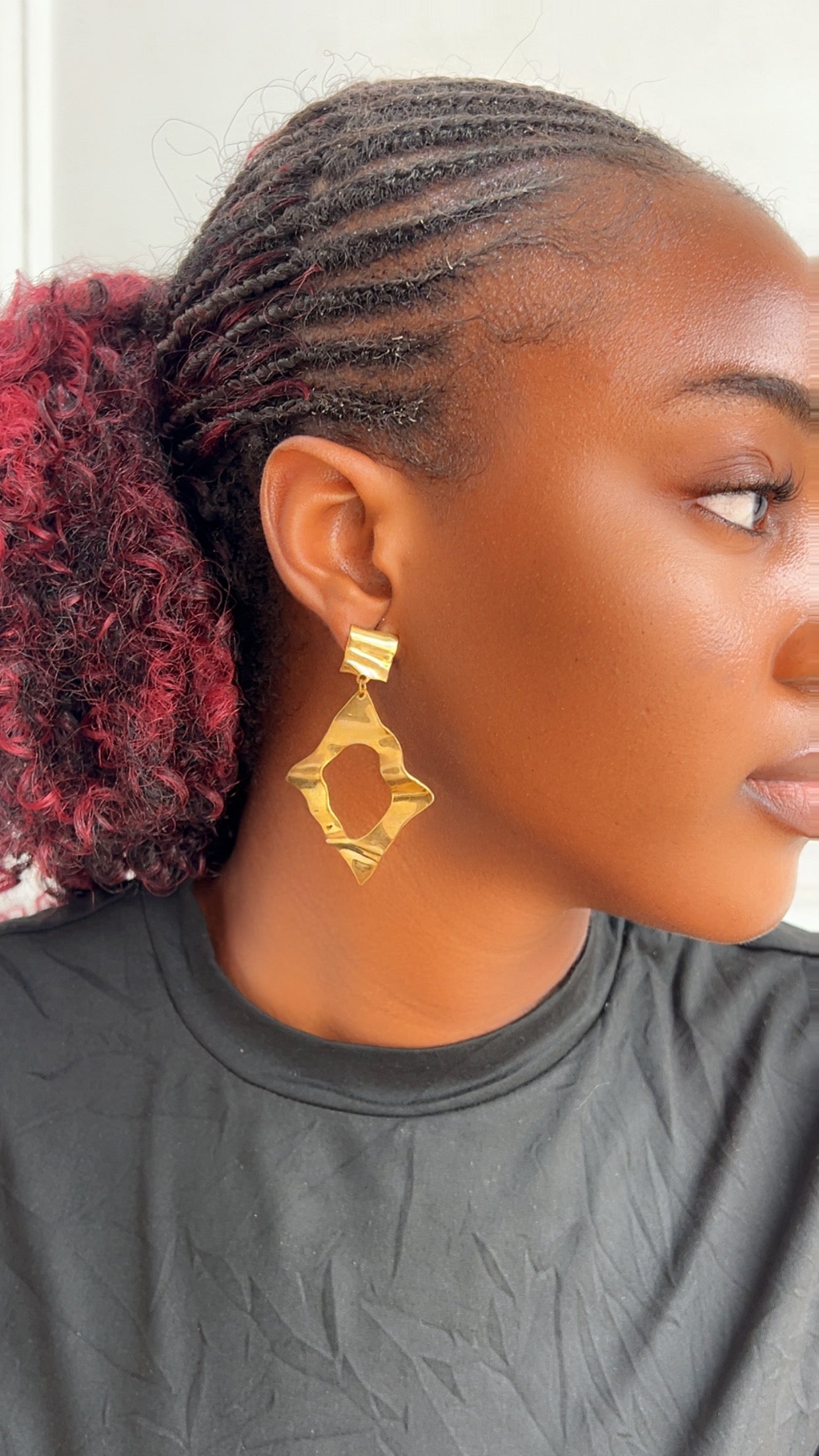 Earrings (Rbs840)