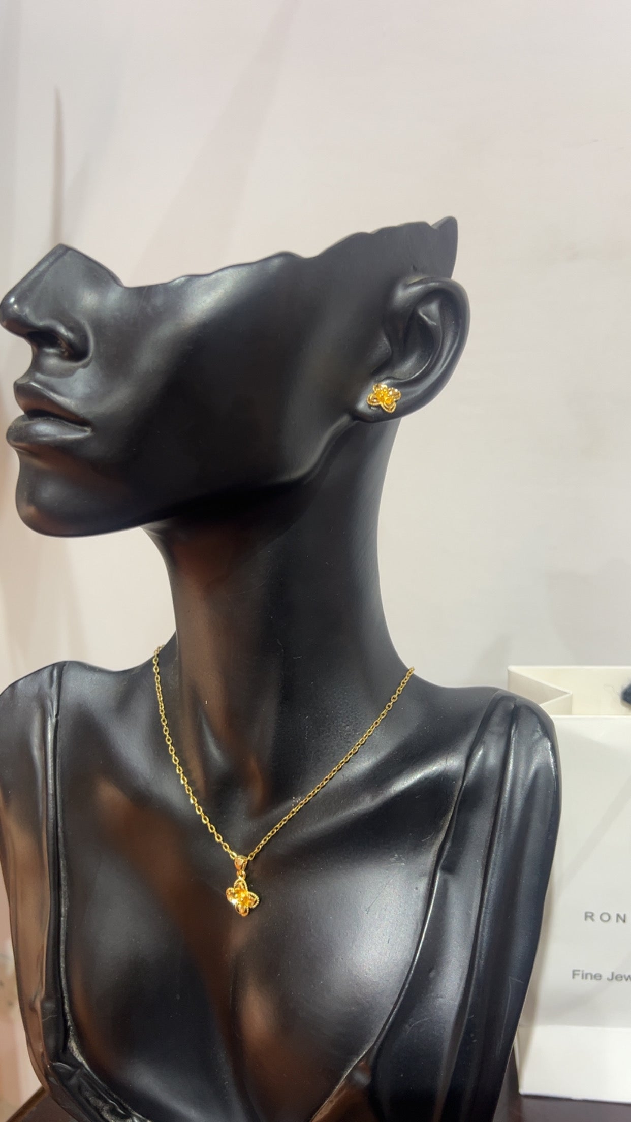 Jewelry sets (RBS1048)