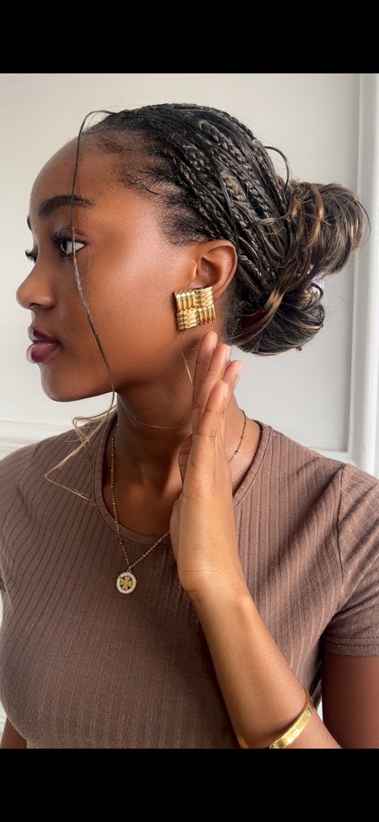 Earrings(Rbs097)