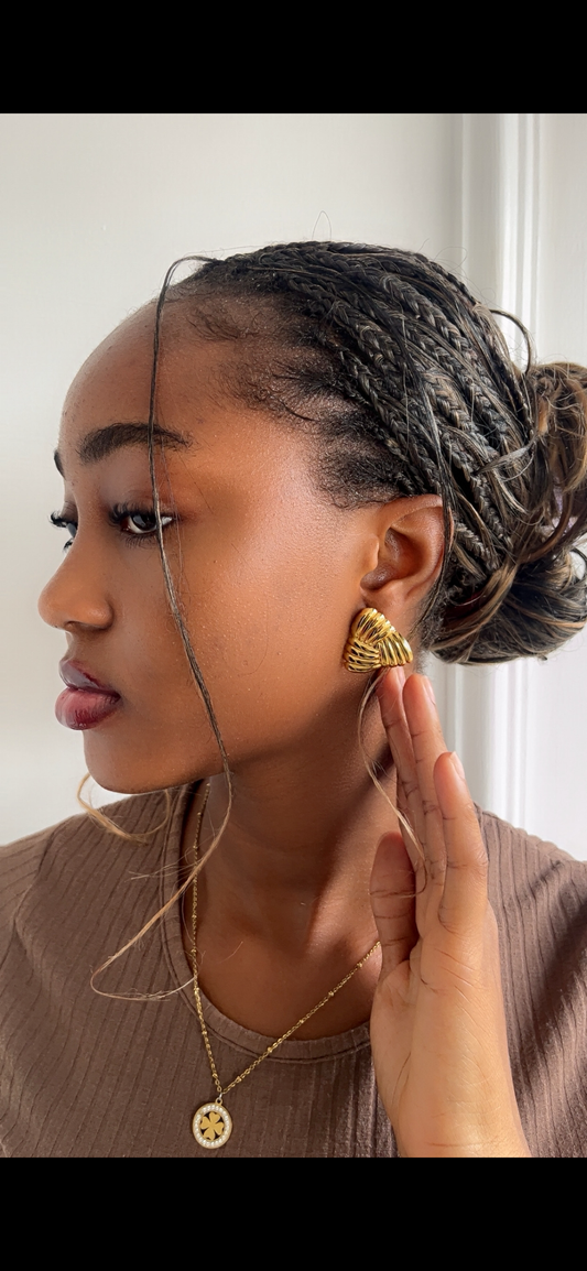 Earrings (Rbs498)