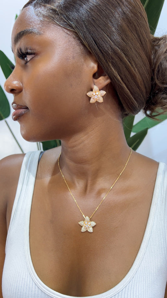 Victoria jewelry set(Rbs575)