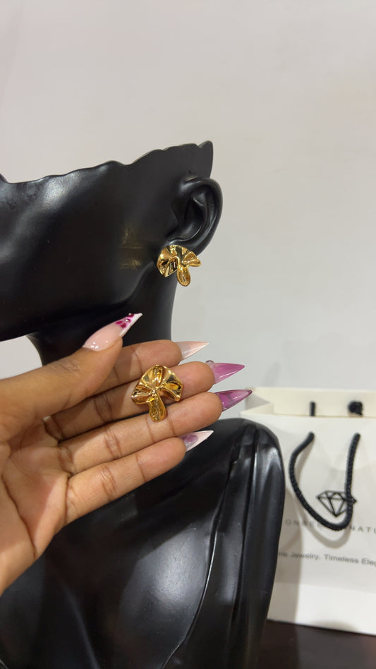 Earrings (RBS1070)