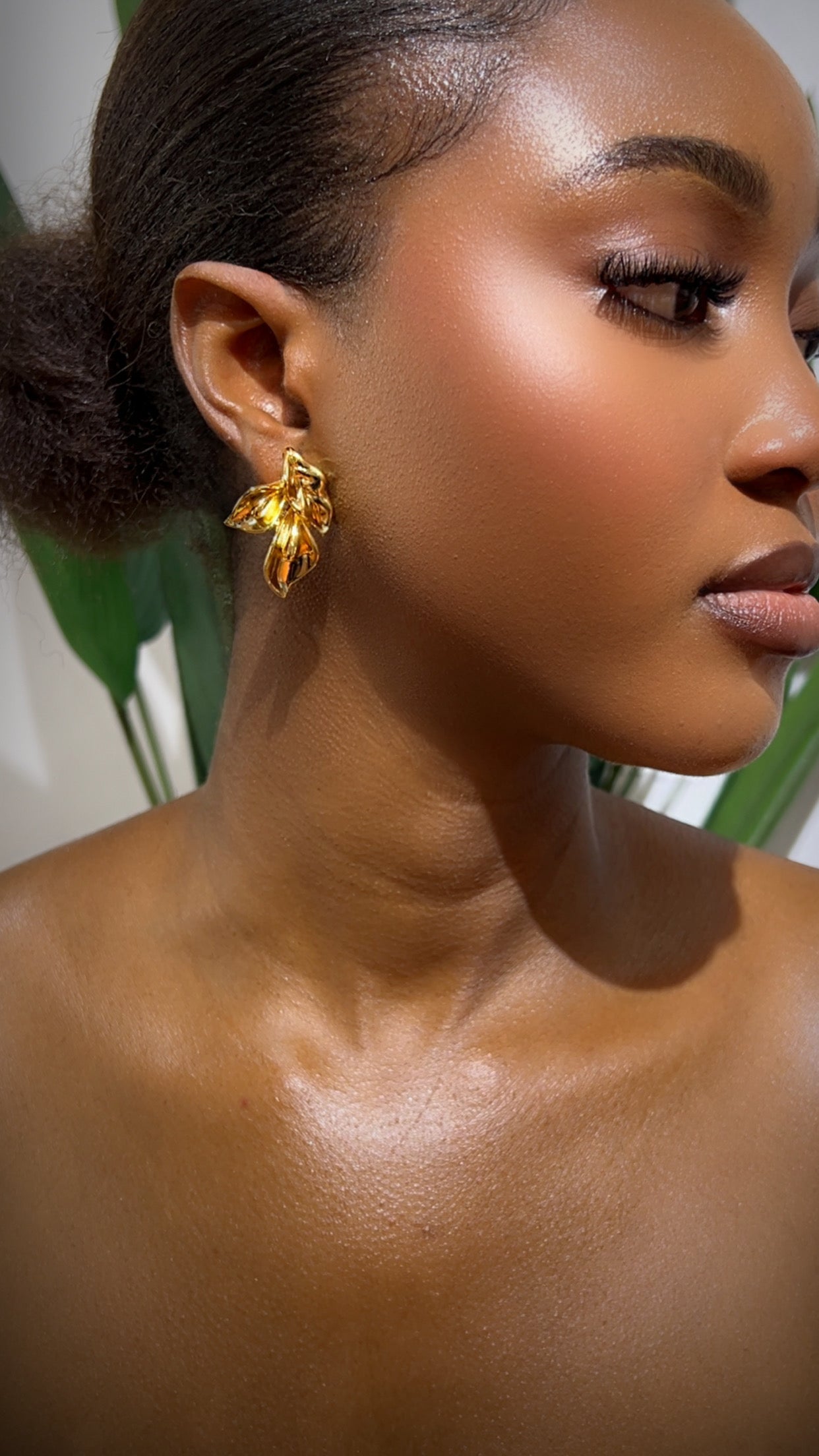 Dede Statement Earrings (Rbs545)