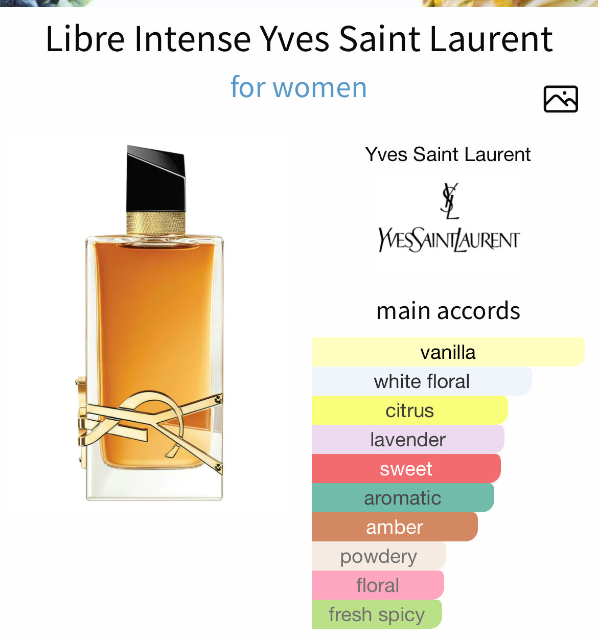YSL Libre Intense [Fierce Freedom] – Perfume Oil
