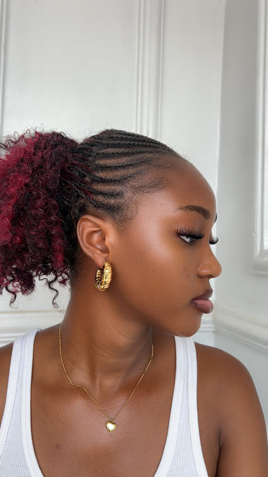 Earrings (Rbs227)