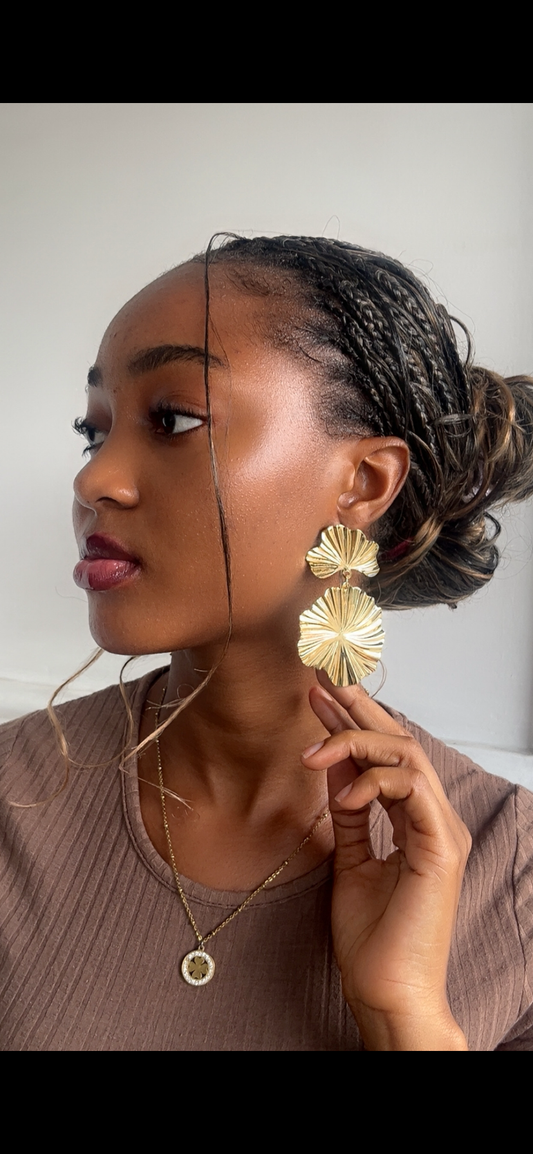 Earrings(Rbs100)