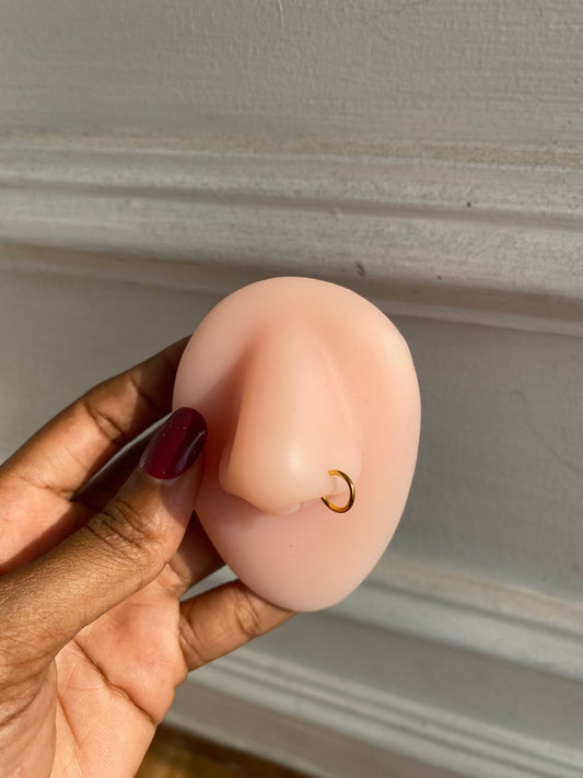 Nose rings (Rbs827)