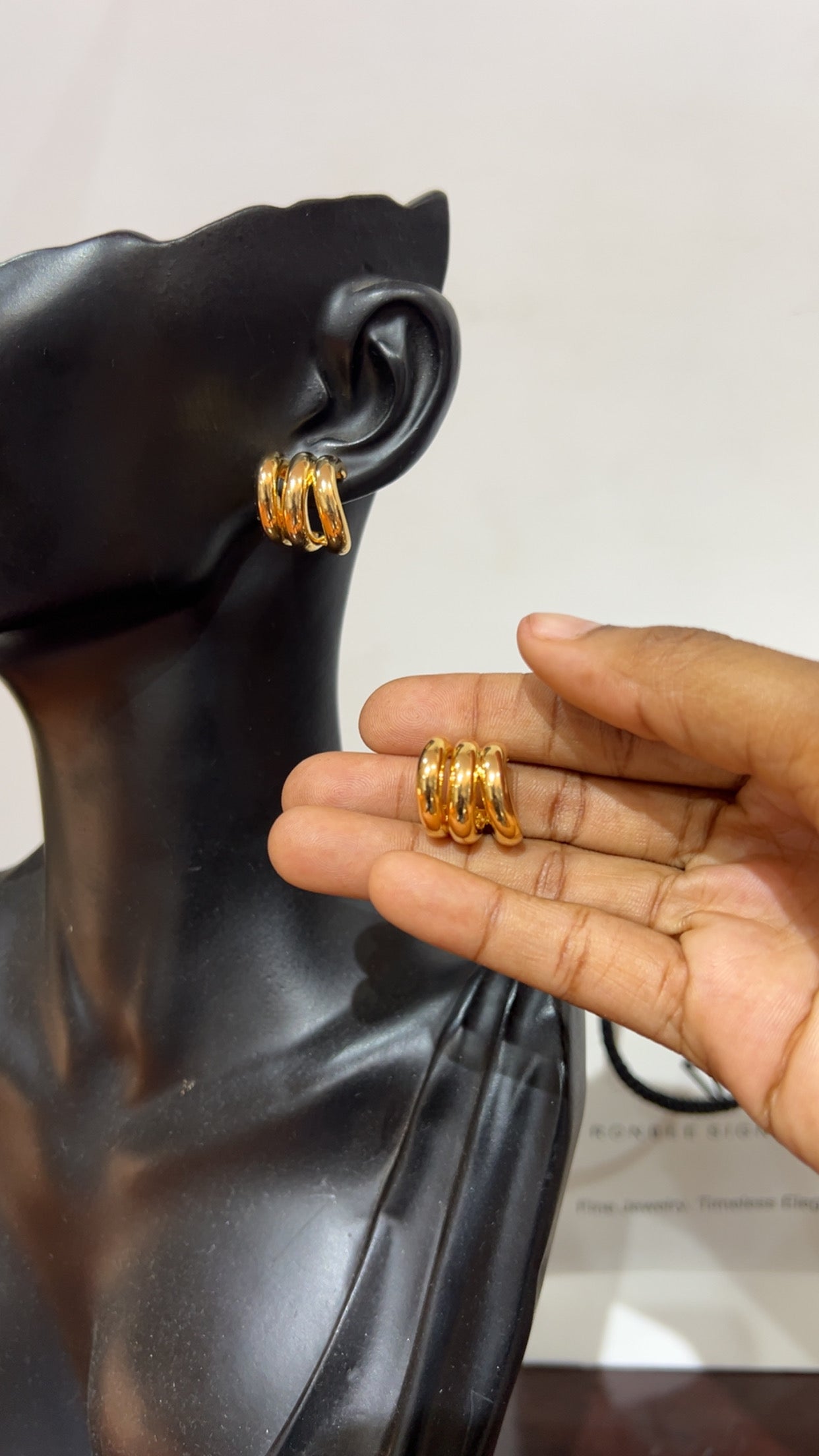 Earrings (RBS1025)