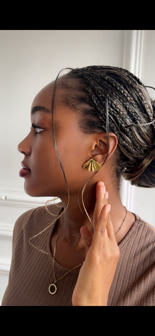 Earrings (Rbs297)