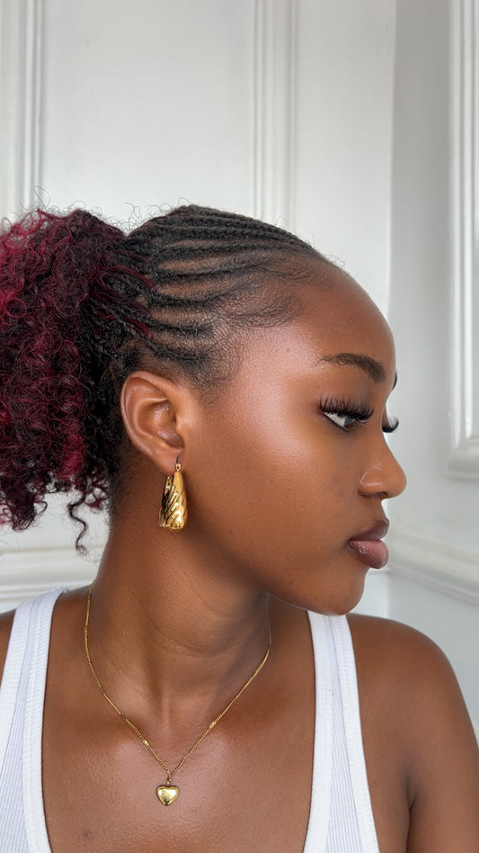 Earrings (RBS223)