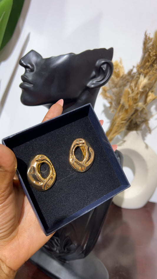 Zeda Statement Earrings (Rbs547)