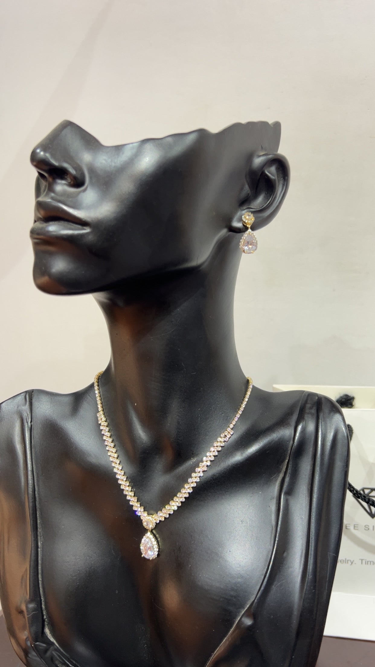 Jewelry set (RBS1031)