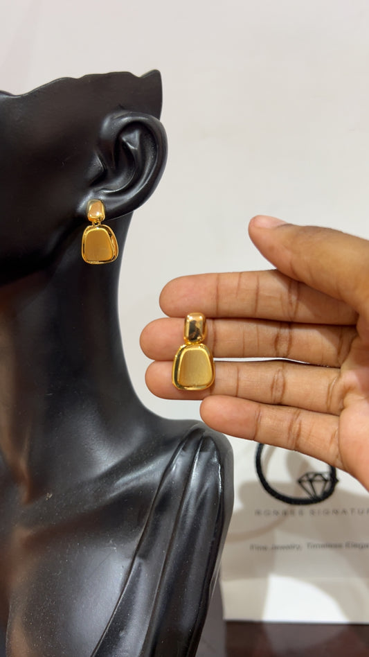 Earrings (RBS1019)