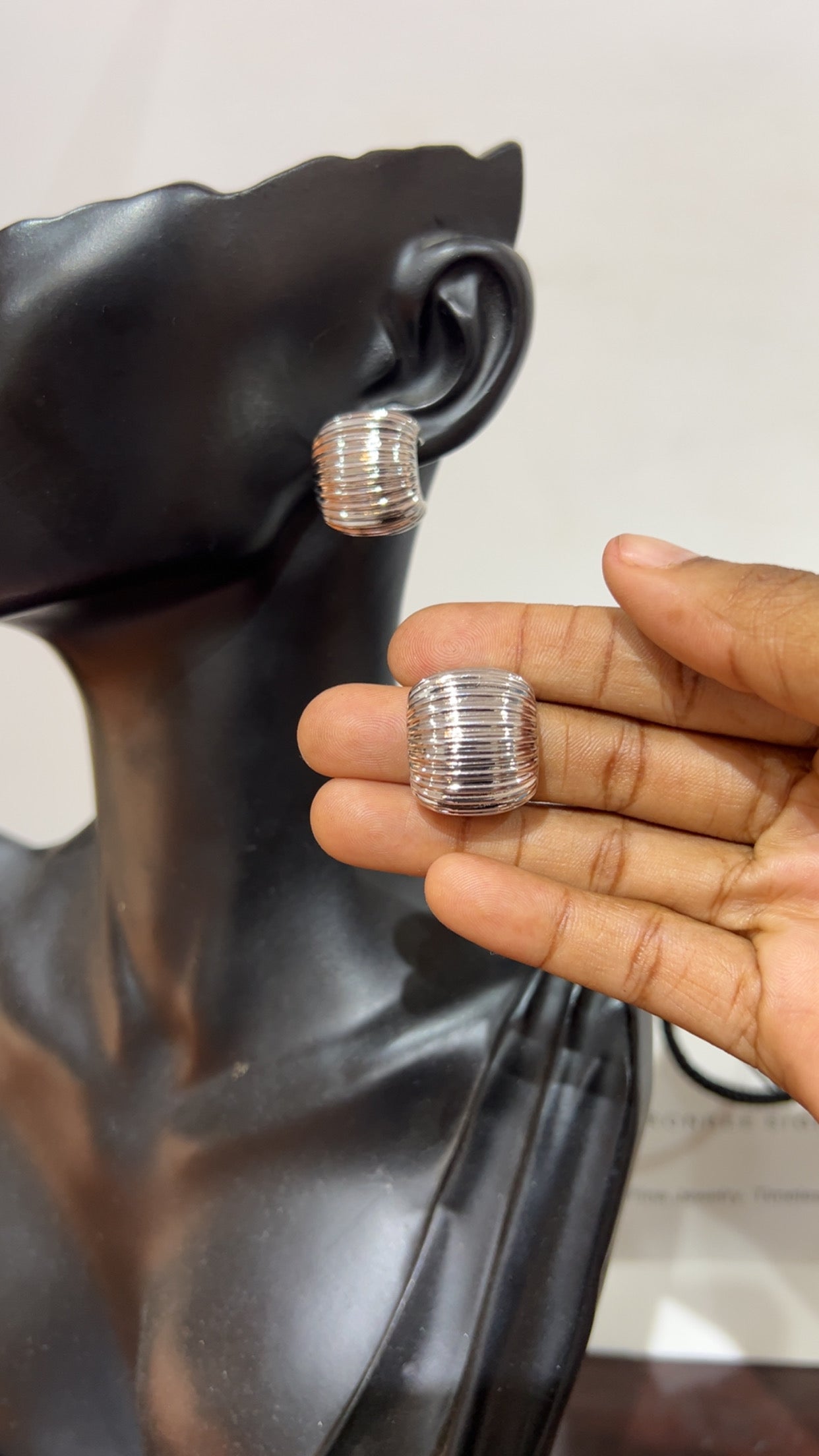 Silver Earrings (RBS1022)