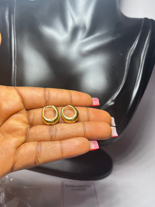 Earrings (RBP092)