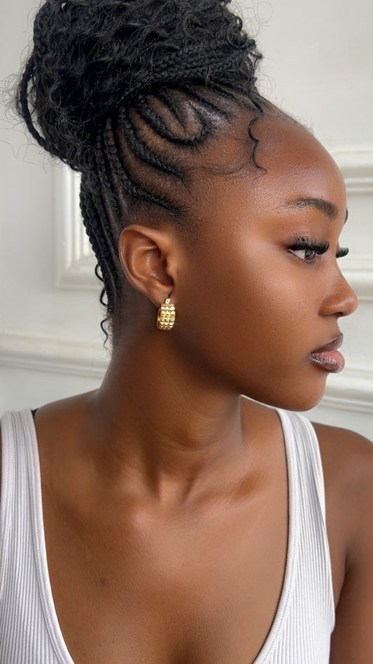 Earrings (Rbs868)