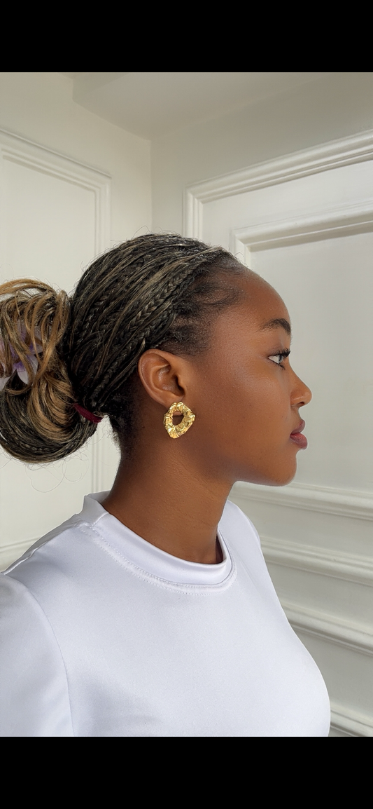Earrings (Rbs300)