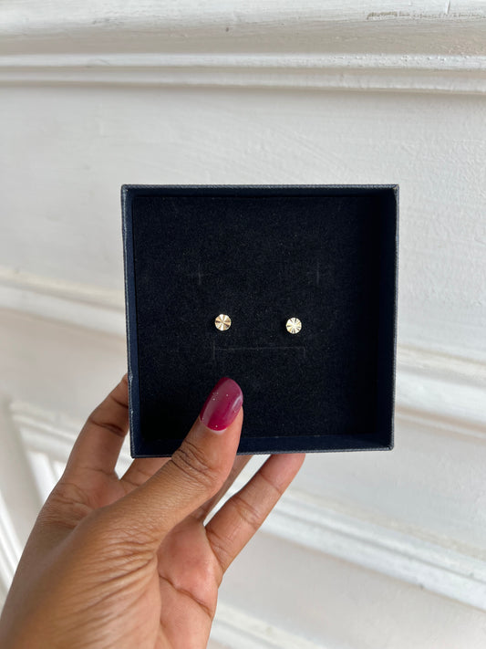 Stud earrings (rbs239)