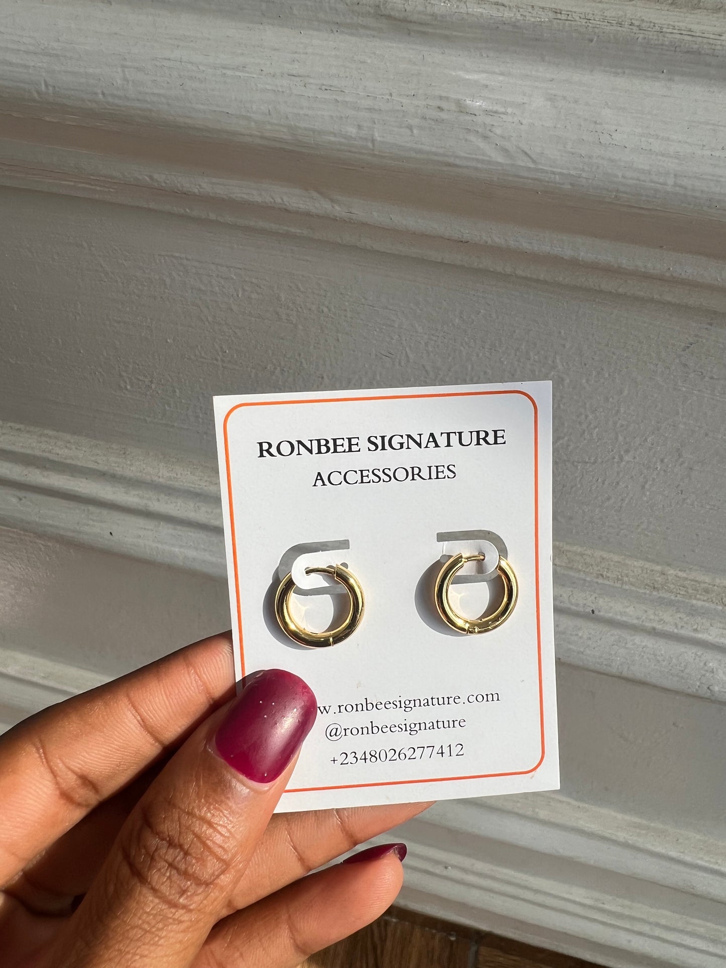 Earrings(Rbs316)