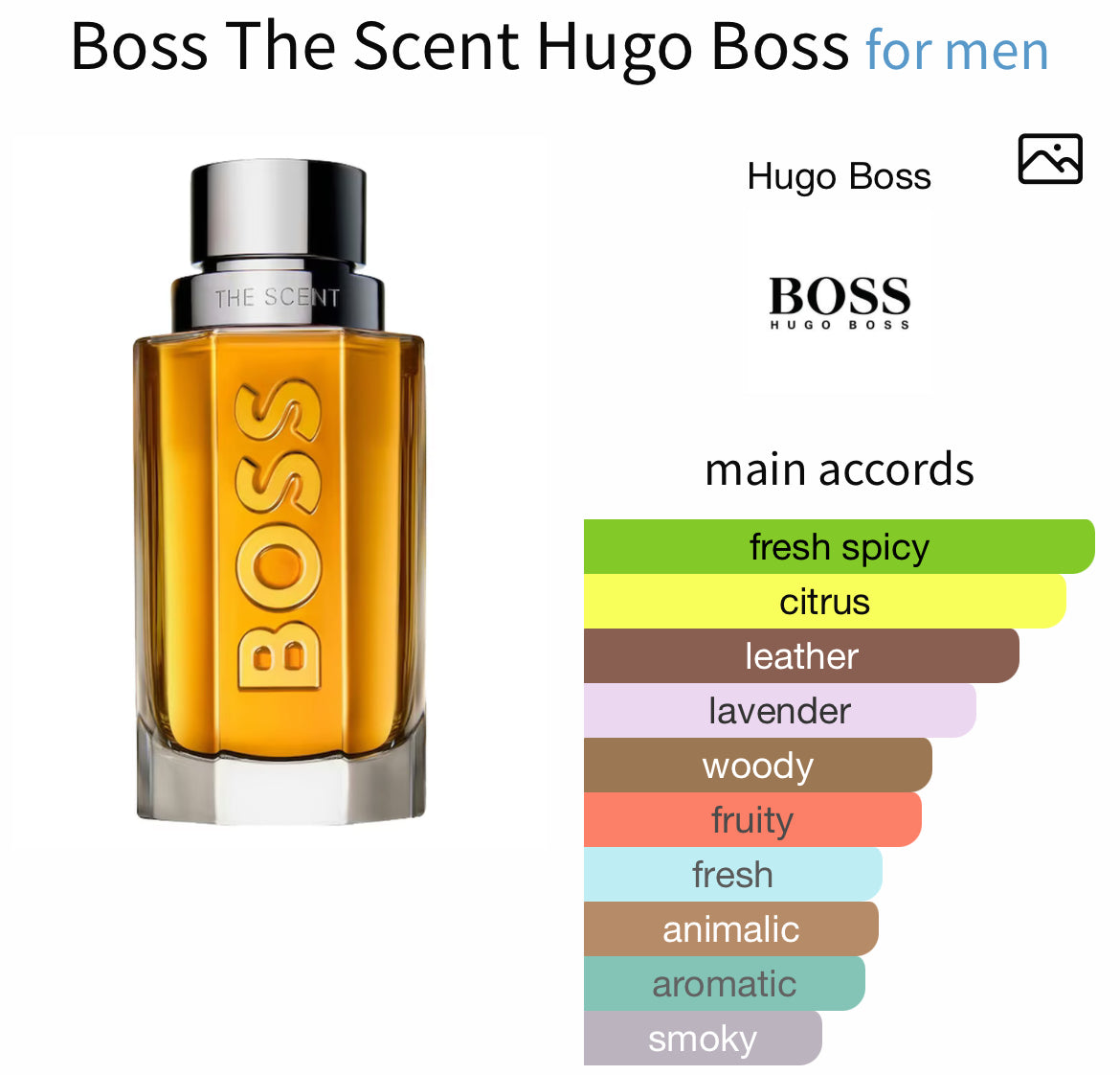 Hugo Boss [Gentleman’s Code] – Perfume Oil