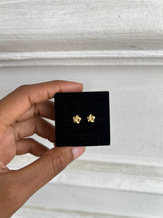 Stud earrings (Rbs877)