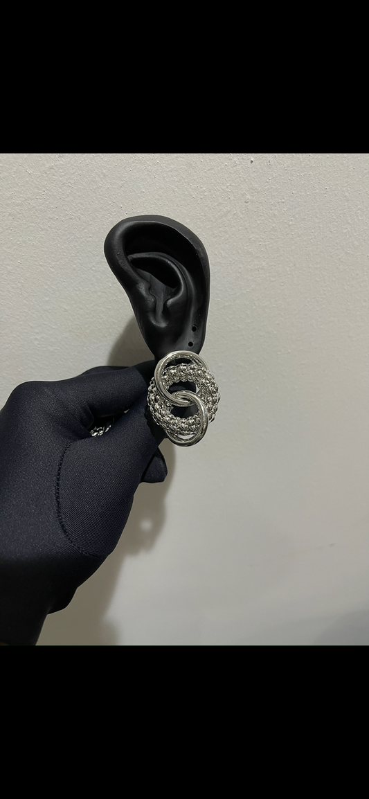 Earrings (Rbs045)