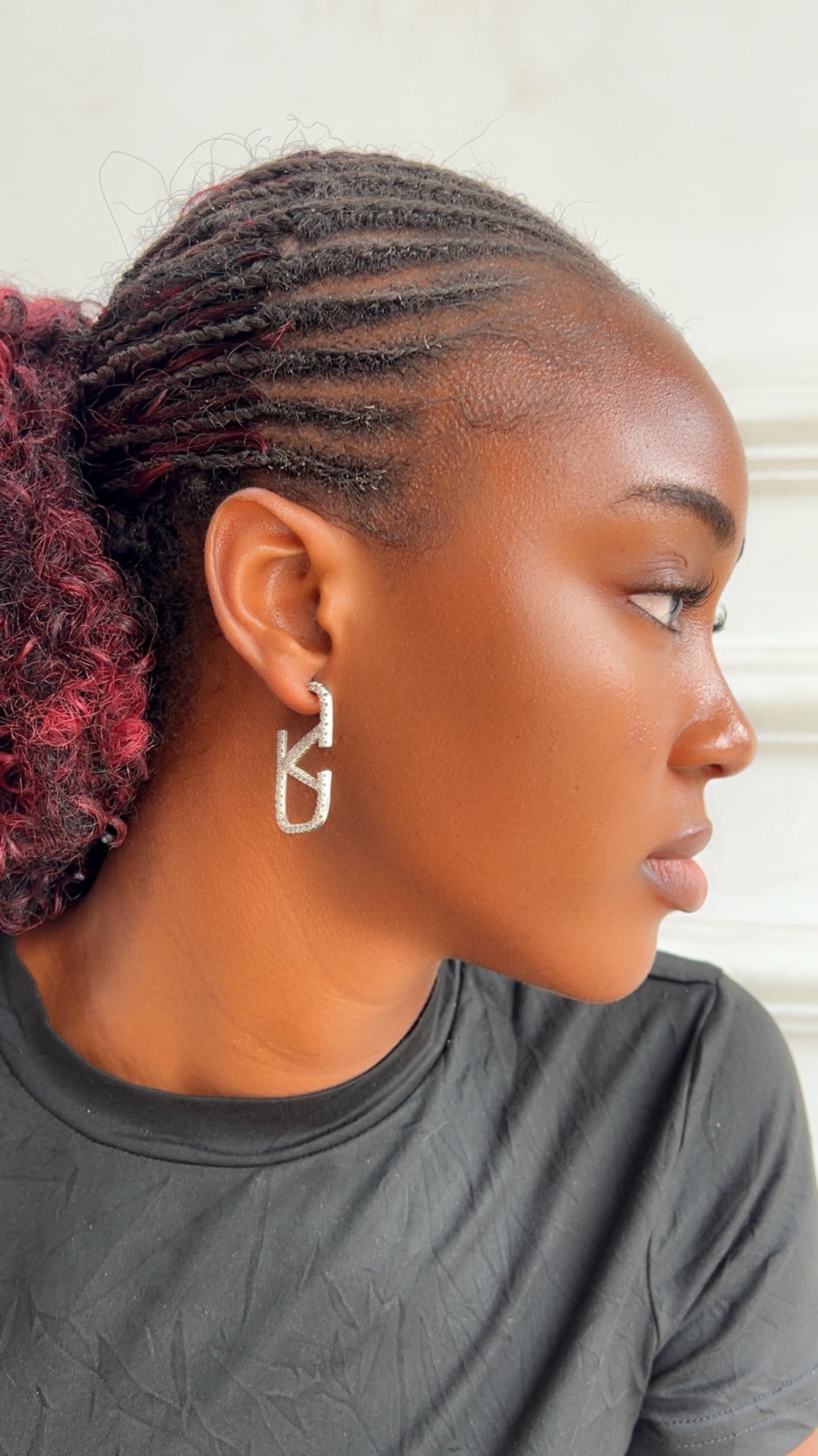 Earrings (Rbs824)