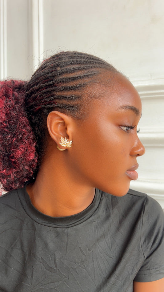 Earrings (Rbs833)
