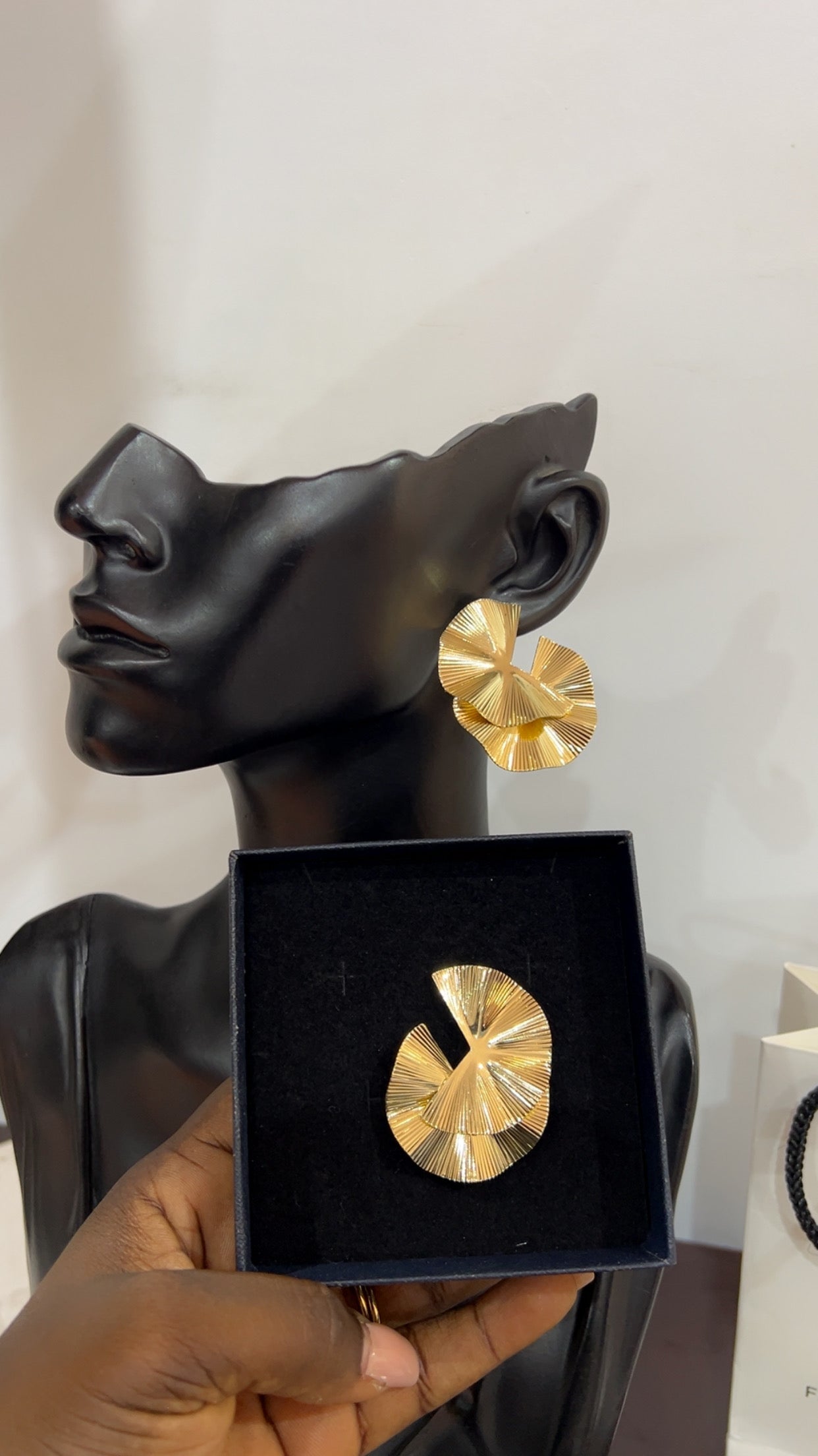 Earrings (RBE099)