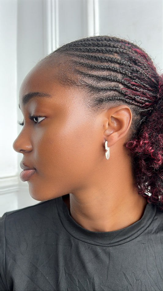 Earrings(Rbc107)