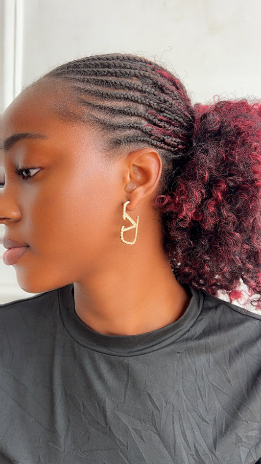 Earrings (Rbs824)