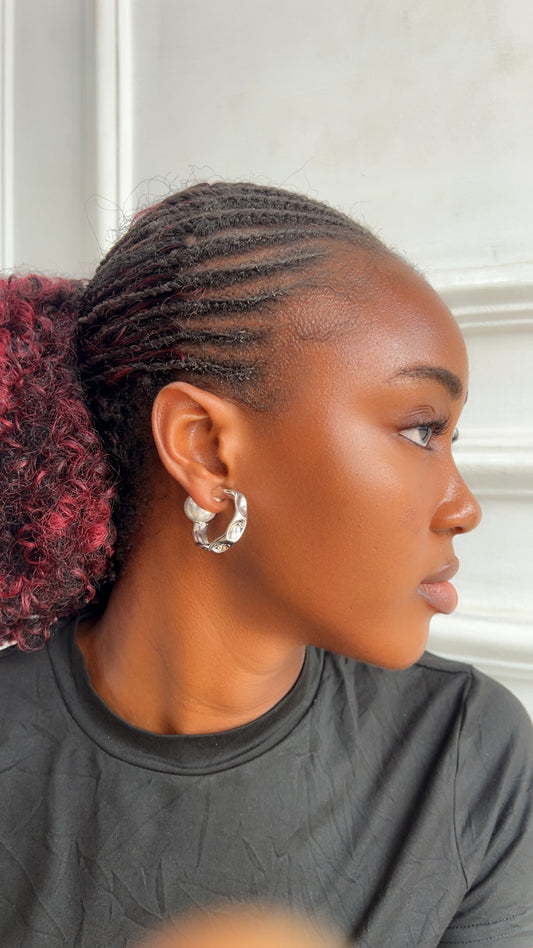 Earrings (Rbs835)